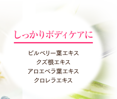 しっかりボディケアにビルベリー葉エキス クズ根エキス アロエベラ葉エキス クロレラエキス