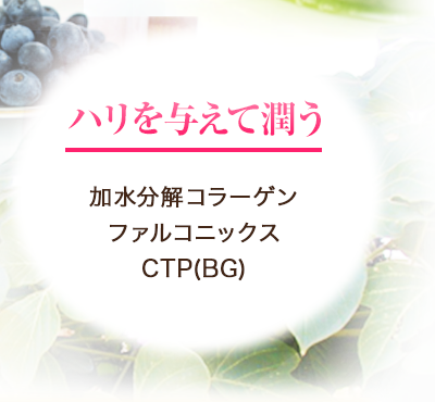 ハリを与えて潤う加水分解コラーゲン ファルコニックス CTP(BG)